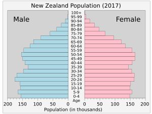 인구 피라미드 (2017)