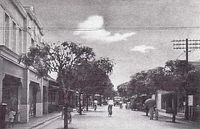 일본 위임통치하의 팔라우