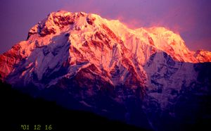 안나푸르나 III봉