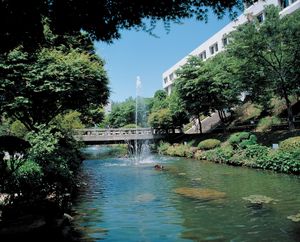 숙명여자대학교