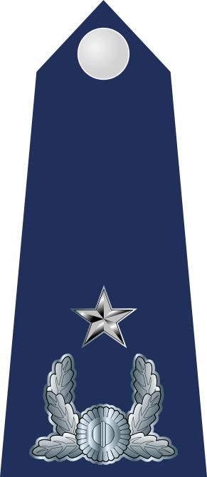 대한민국 육군 준장 계급장
