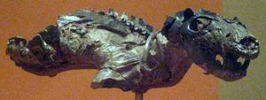국립자연사박물관(National Museum of Natural History)에 있는 *트리낙소돈(Thrinaxodon)* 화석