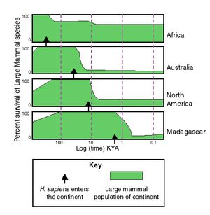 인류가 도착하기 전과 후의 대륙별 대형 포유류 종의 생물다양성