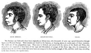 H. 스트릭랜드 콘스터블의 19세기 말 일러스트레이션 "아일랜드 이베리아인"과 "흑인"의 특징의 유사성에 대한 의문