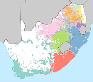 남아프리카 공화국의 주요 언어