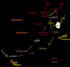 많은 이민자가 무지개 국가를 형성했다
