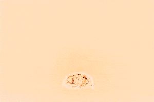 트리니티 가제트는 추정 수율 25킬로톤으로 최초로 폭발된 순수 핵분열 무기였다.