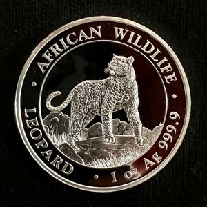 2022년 소말리아 1온스 은화 표범(100실링)