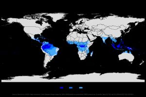 열대 기후 분포