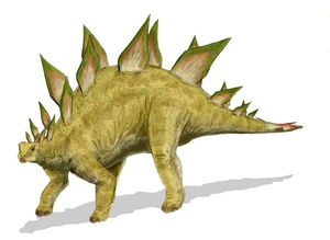 스테고사우루스(Stegosaurus)
