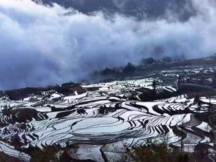 [[홍허 하니족 계단식 논]]