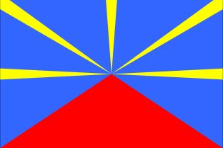 여러 지방 자치 단체에서 사용되는 비공식 깃발