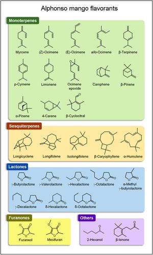 인도산 '알폰소' 망고의 주요 풍미 화학 물질