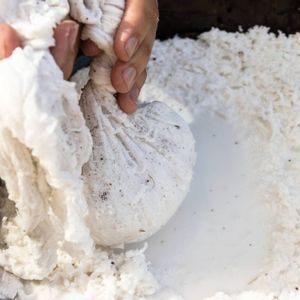 체에 거르는 갈은 코코넛