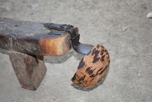 전통 코코넛 강판