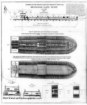 노예선 브룩스호의 다이어그램. 노예들이 어떻게 수송되었는지 보여준다