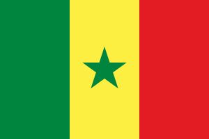 세네갈 국기