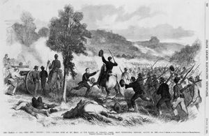 네이선얼 라이언