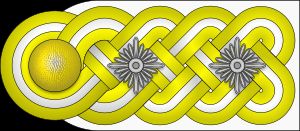 공군 병과대장 견장