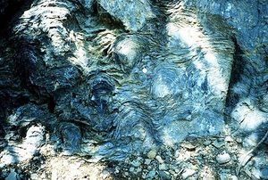 선캄브리아기 시대 글래시어 국립공원의 시예 지층에 있는 화석화된 스트로마톨라이트