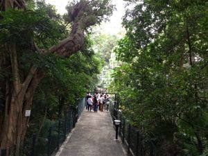 홍콩 천문대 부지