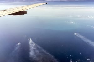 칸타렐 유전(Cantarell Field)