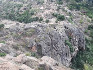 CaCO3}}의 표면 침전