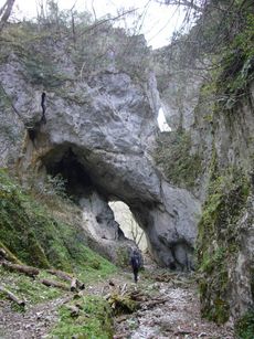 천연교의 당문(테이샤쿠쿄)