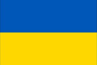 우크라이나의 양심 당의 기