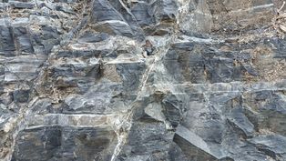 반야월층의 [[정단층]]