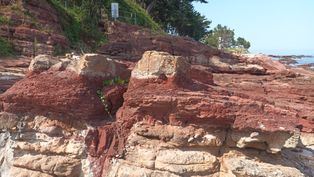 경북동해안 국가지질공원의 울련산층