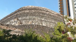 전시관 북쪽 영천강로 68길 도로변에 드러난 진주층의 노두