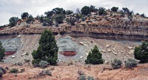 콜로라도 주 모리슨층(Morrison Formation)의 티드웰 구성원(Tidwell Member, 상부 쥬라기)