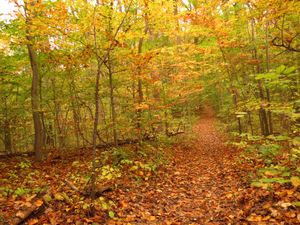 록 크릭 공원(Rock Creek Park): 도시에서 가장 큰 공원으로, 북서쪽(Northwest) 지역에 걸쳐 있다.