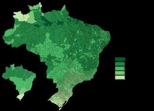 2022년 파르두 브라질인 분포 (단독 인종 기준)