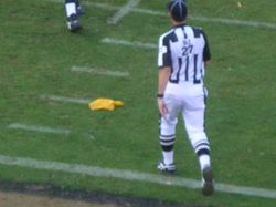 플래그를 던진 백저지