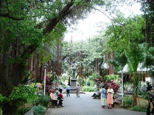 자르댕 드 라 콩파니(영어로는 Company Gardens). 원래는 프랑스 동인도 회사의 채소밭이었다.