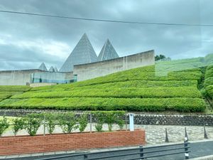 니마 샌드 뮤지엄