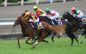 일본 경마에서는 경주 시에 경주마에 번호와 마명이 적힌 번호표를 부착한다. 제72회 국화상(2011년)