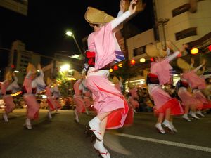 도쿠시마시의 아와오도리