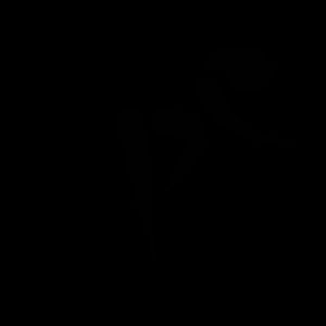 트랙 사이클 픽토그램