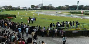 나카야마 경마장 우승자 서클