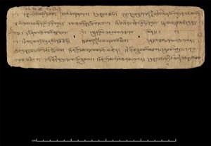 둔황 출토 '깨달음의 뻐꾸기(The cuckoo of awareness)'라는 제목의 조첸 문헌 일부