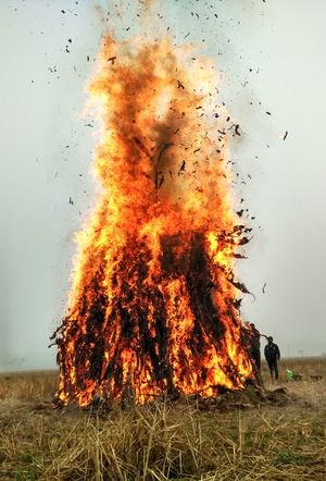 마고르 비후 축제 기간 중 메지(불의 신에게 바치는 제물)를 태우는 모습