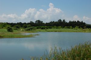 홍콩 습지공원(Hong Kong Wetland Park), 중국