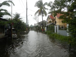 필리핀의 계절풍 홍수
