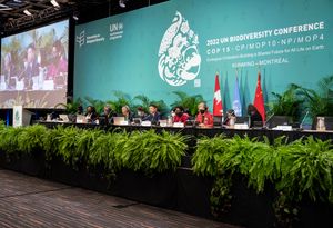 COP15 캐나다 회의