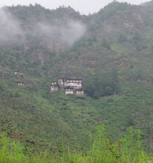 감자 로에 고엔파