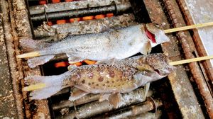 고코노에(Kokonoe, Ōita)에서 볼 수 있는 구운 아마고