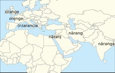 '오렌지'의 어원